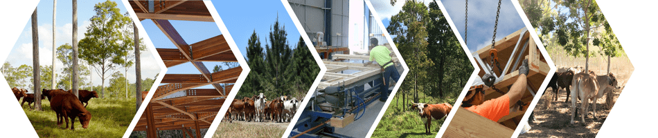 Paddock to Prefab