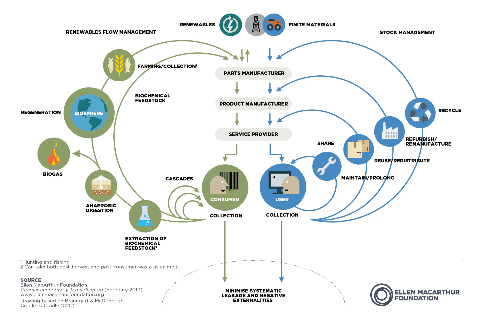 Butterfly_Diagram